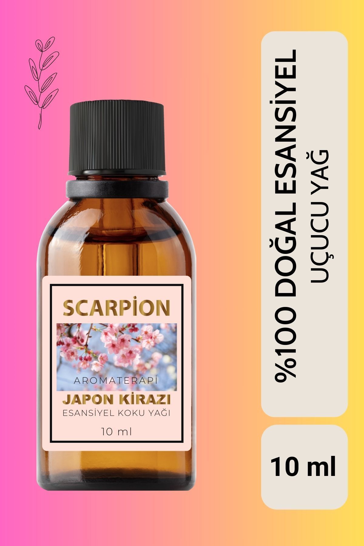 SCARPİON YASEMİN Uçucu Buhur Yağı Hava Nemlendiriciler için Buhurdanlık Esansı Oda Kokusu 10 ml